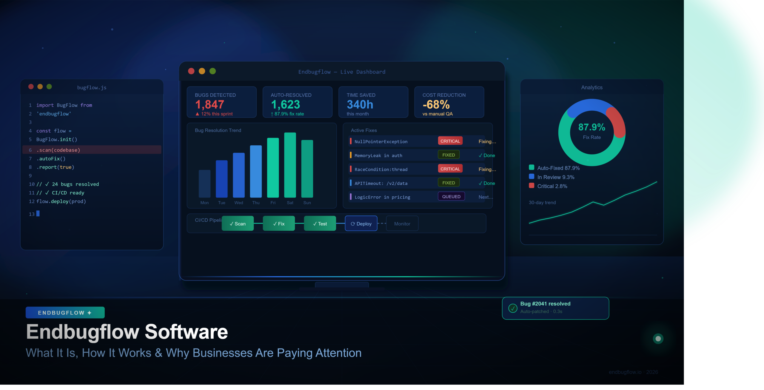 Endbugflow Software